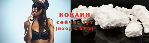 дурь Краснослободск