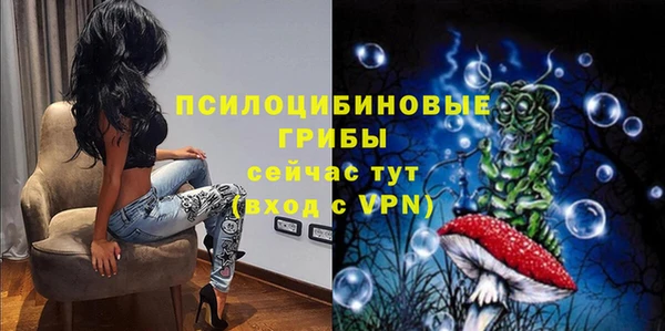 дурь Краснослободск
