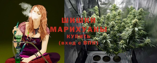 дурь Краснослободск