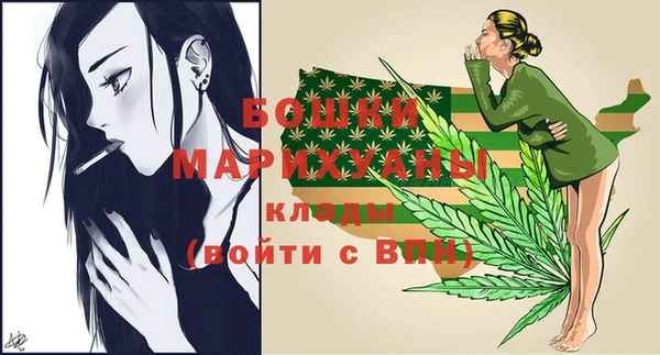 дурь Краснослободск