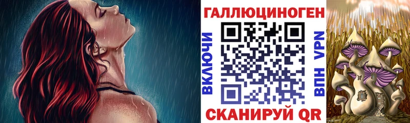 Псилоцибиновые грибы MAGIC MUSHROOMS  Мегион 