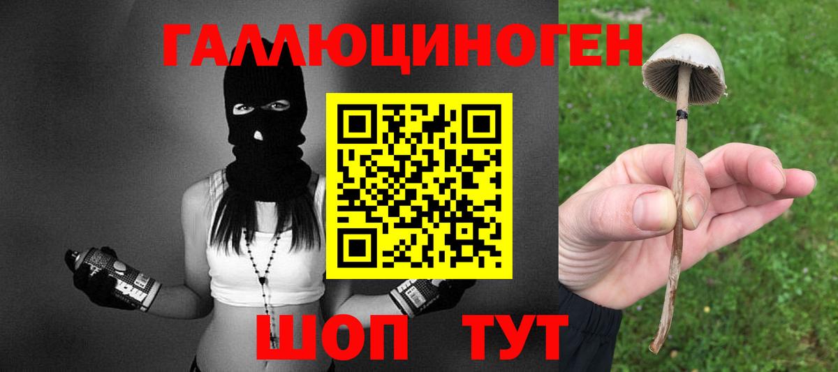 Мегион  Галлюциногенные грибы Magic Shrooms  как найти закладки  Вход с VPN 